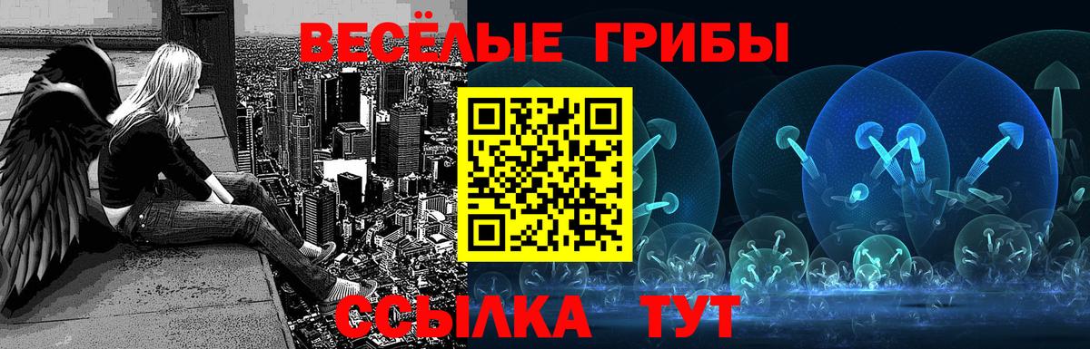 Галлюциногенные грибы GOLDEN TEACHER Владивосток